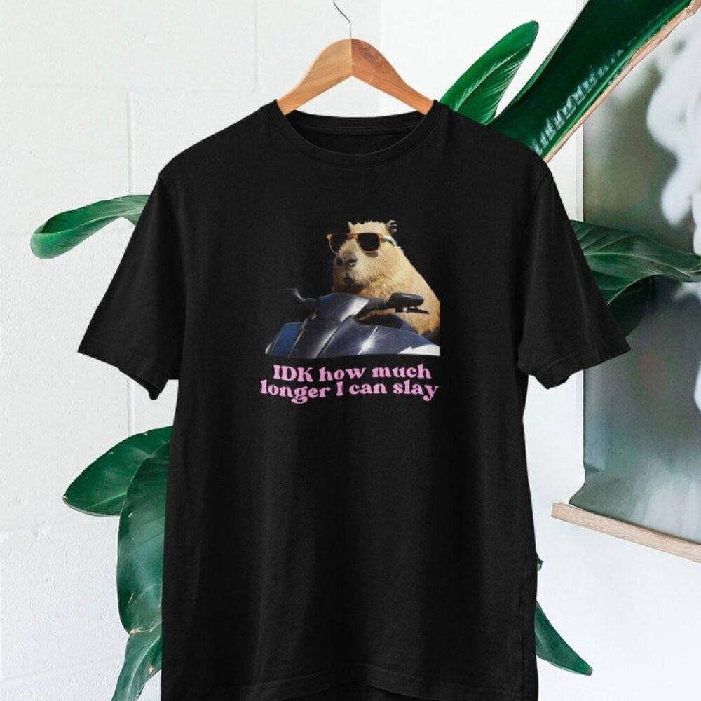 IDK How much longer I can slay T-shirt, Funny Tee